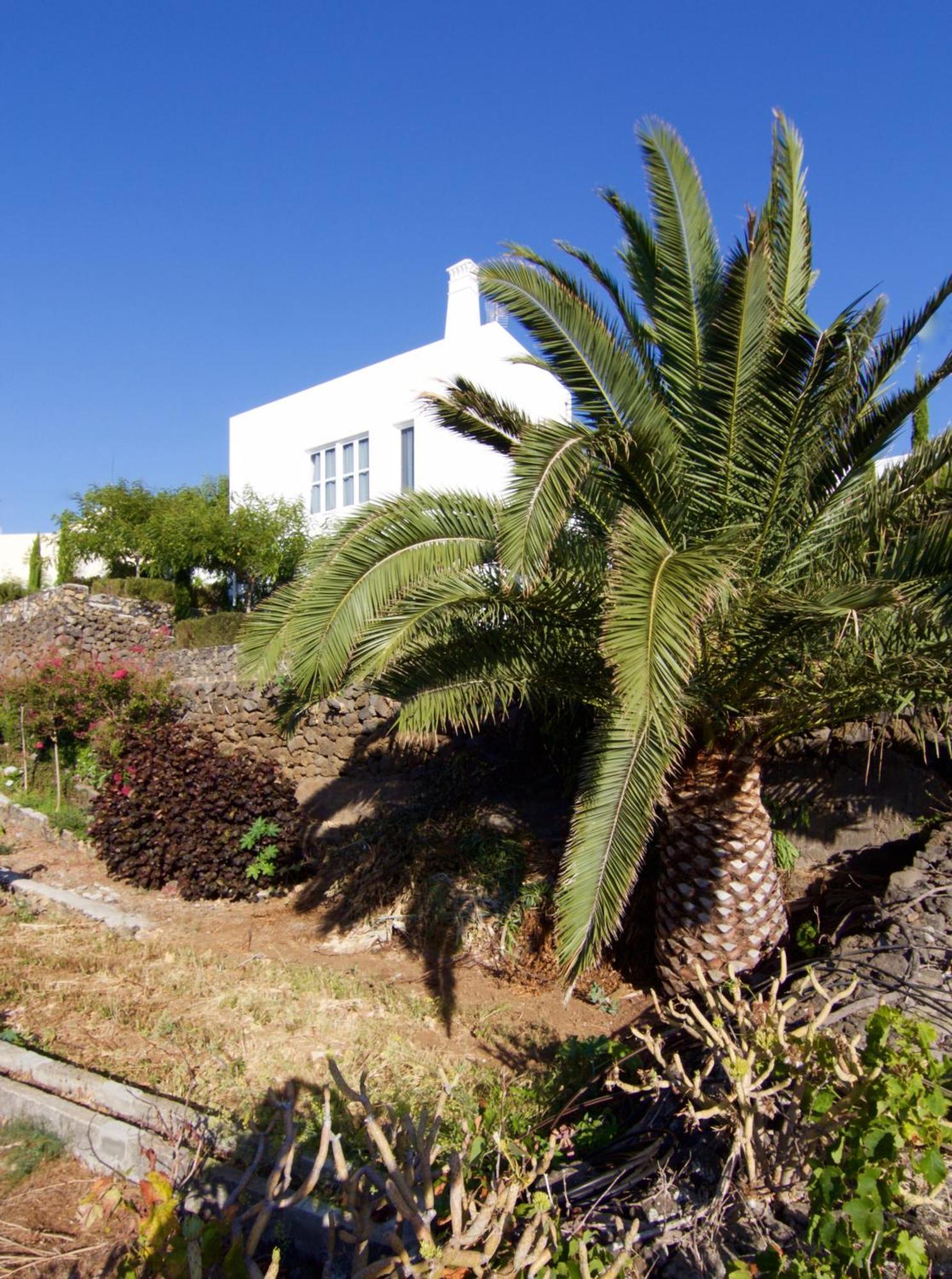 فيلا Casa La Brena La Palma Breña Baja المظهر الخارجي الصورة